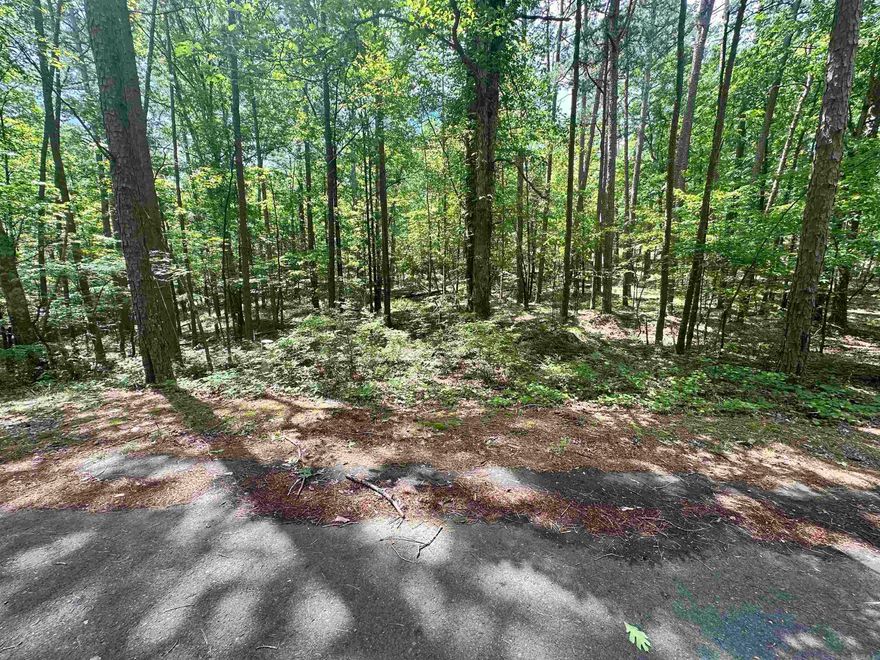 Beautiful and buildable lot in an ideal location. Priced to sell! Come take a look!