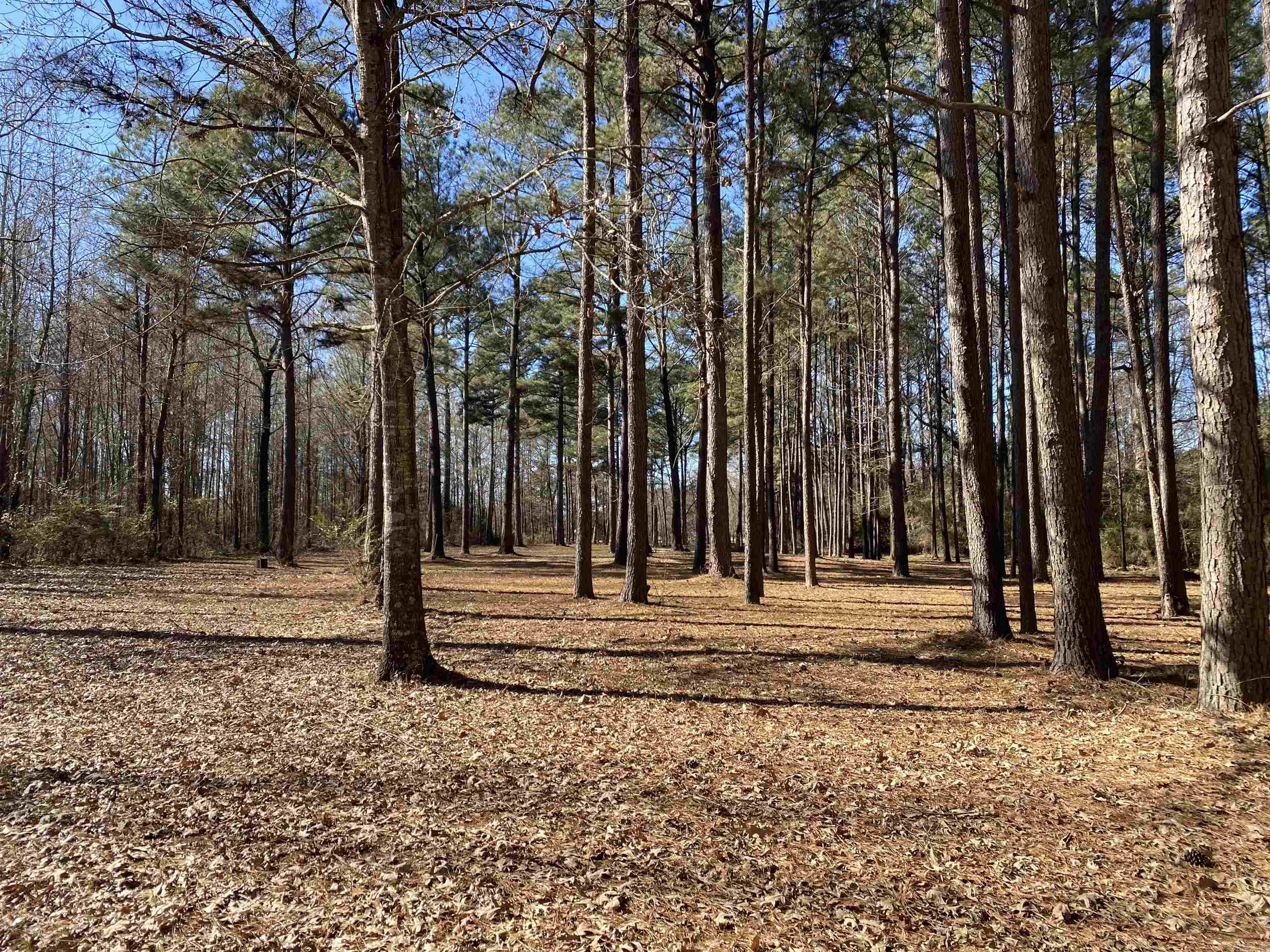 HAMBURG UNPLATTED - Residential