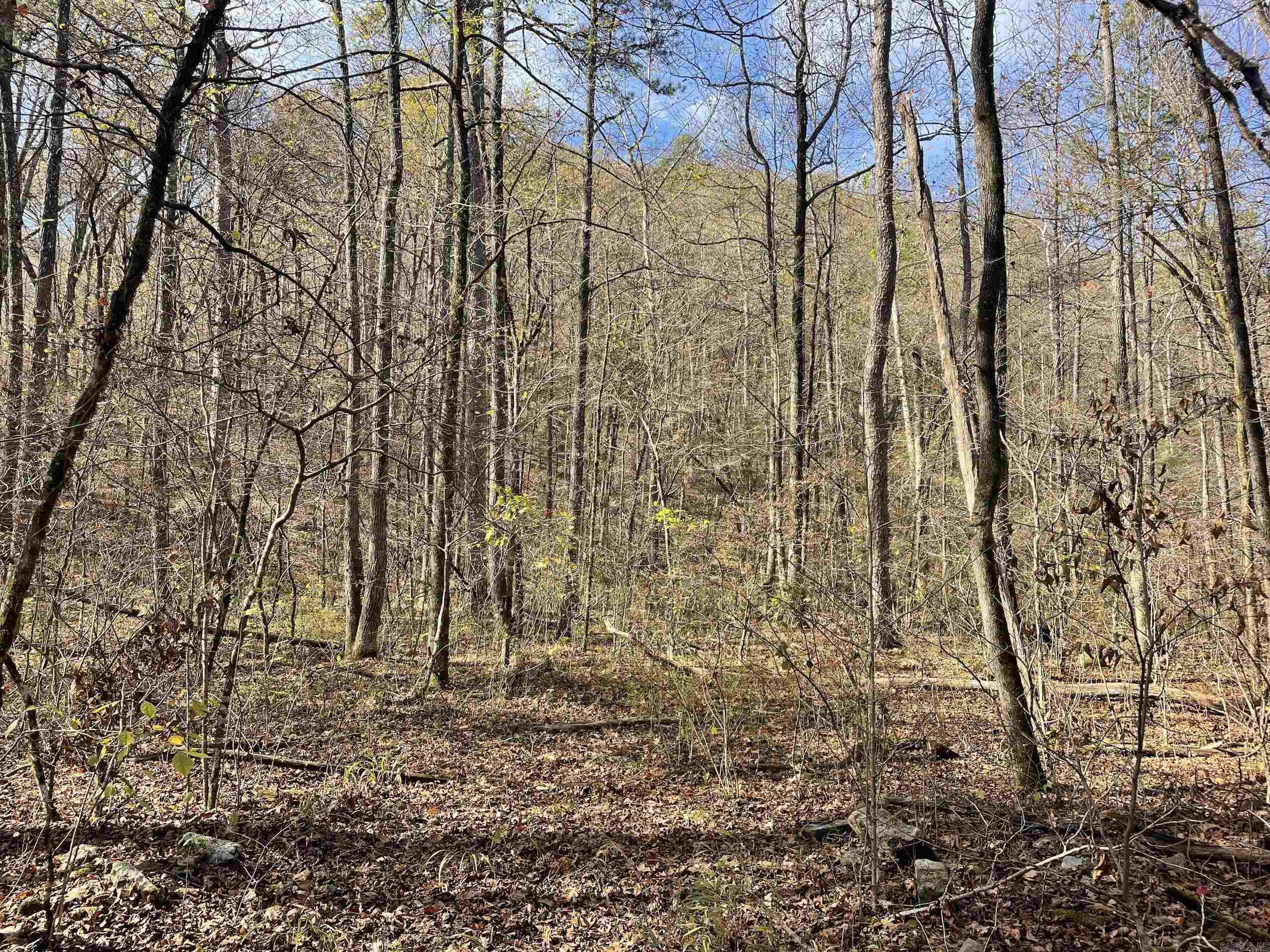 Not in Subdivision - Land