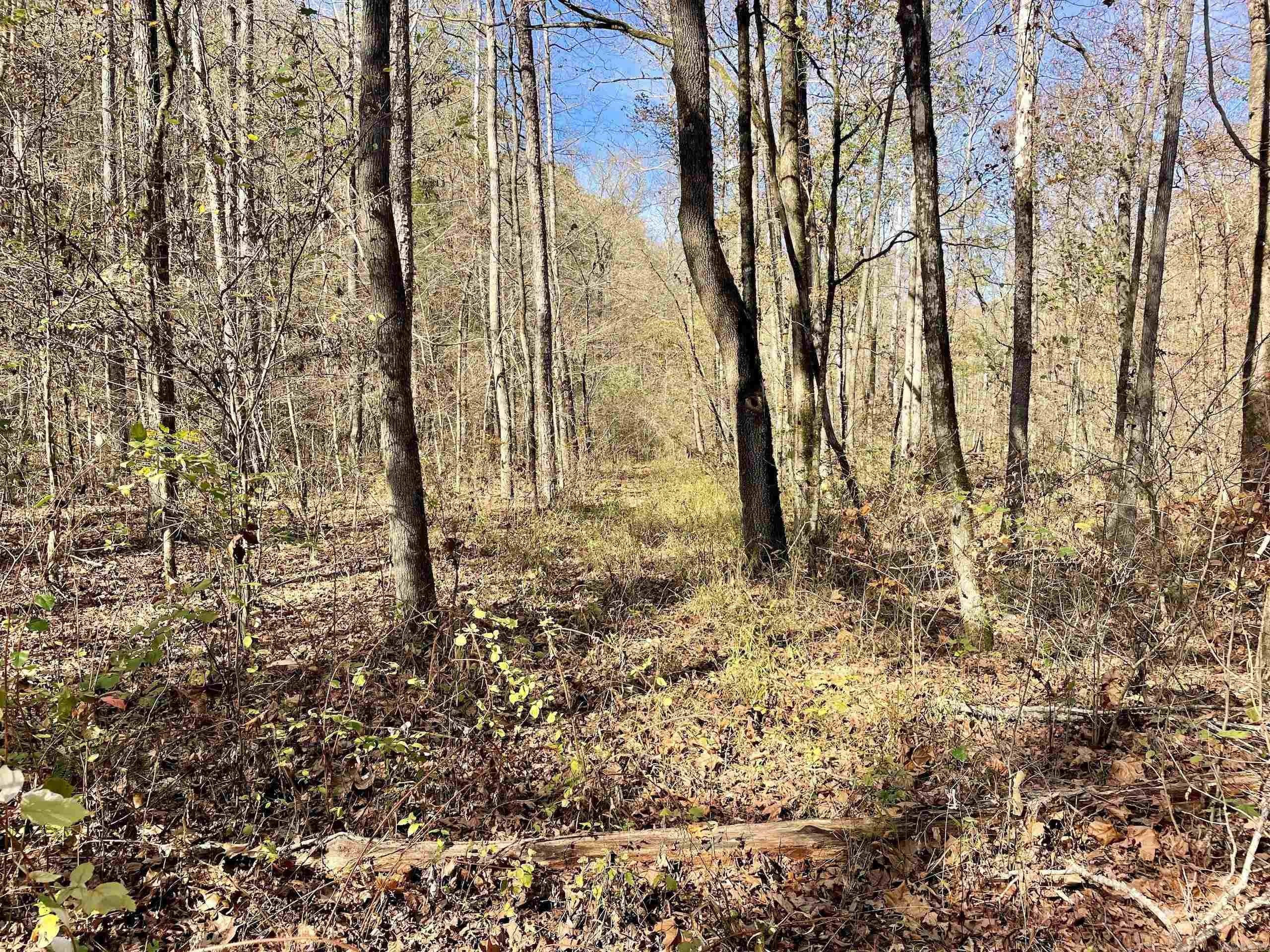 Not in Subdivision - Land