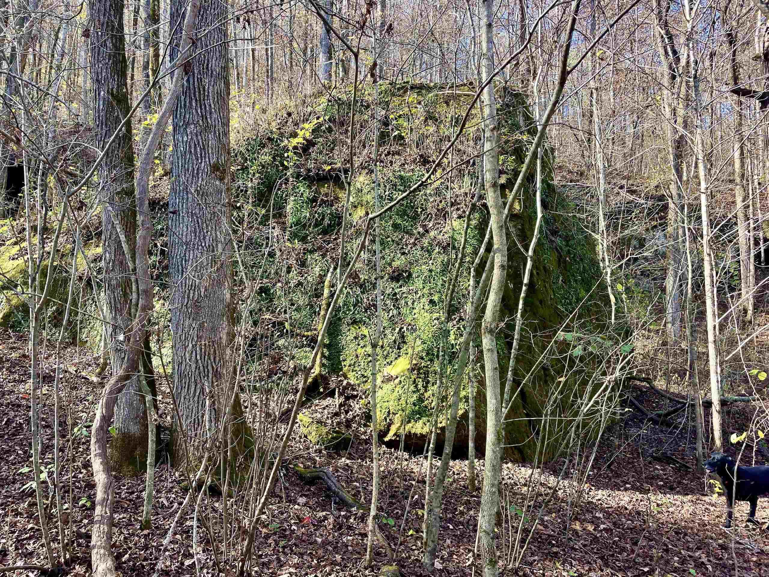 Not in Subdivision - Land