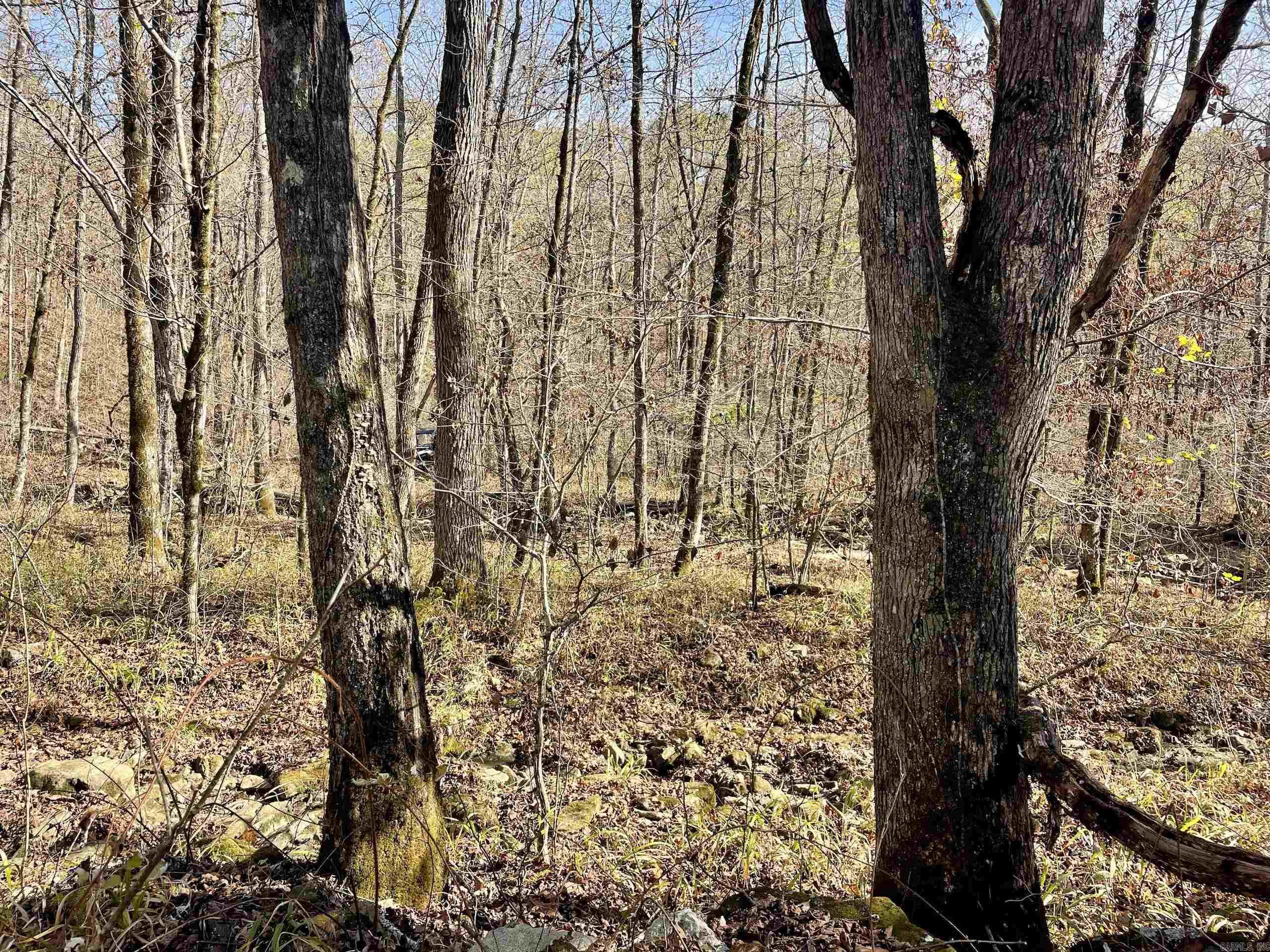 Not in Subdivision - Land