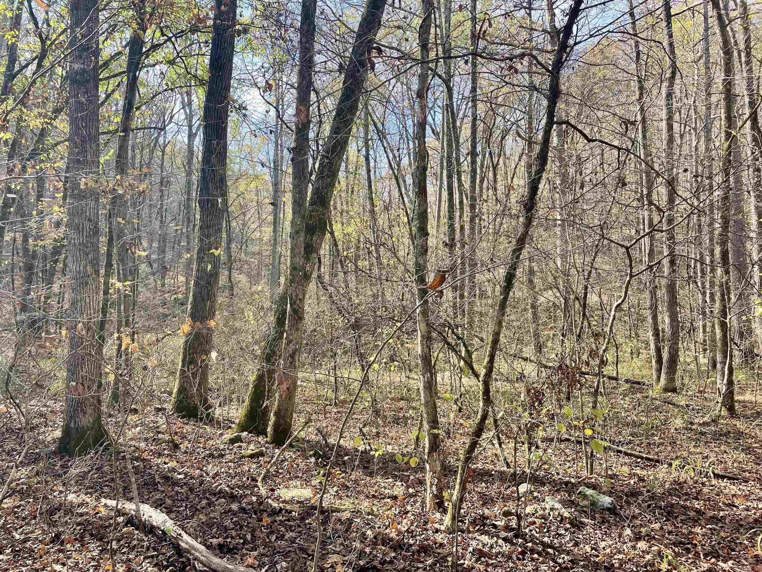 Not in Subdivision - Land