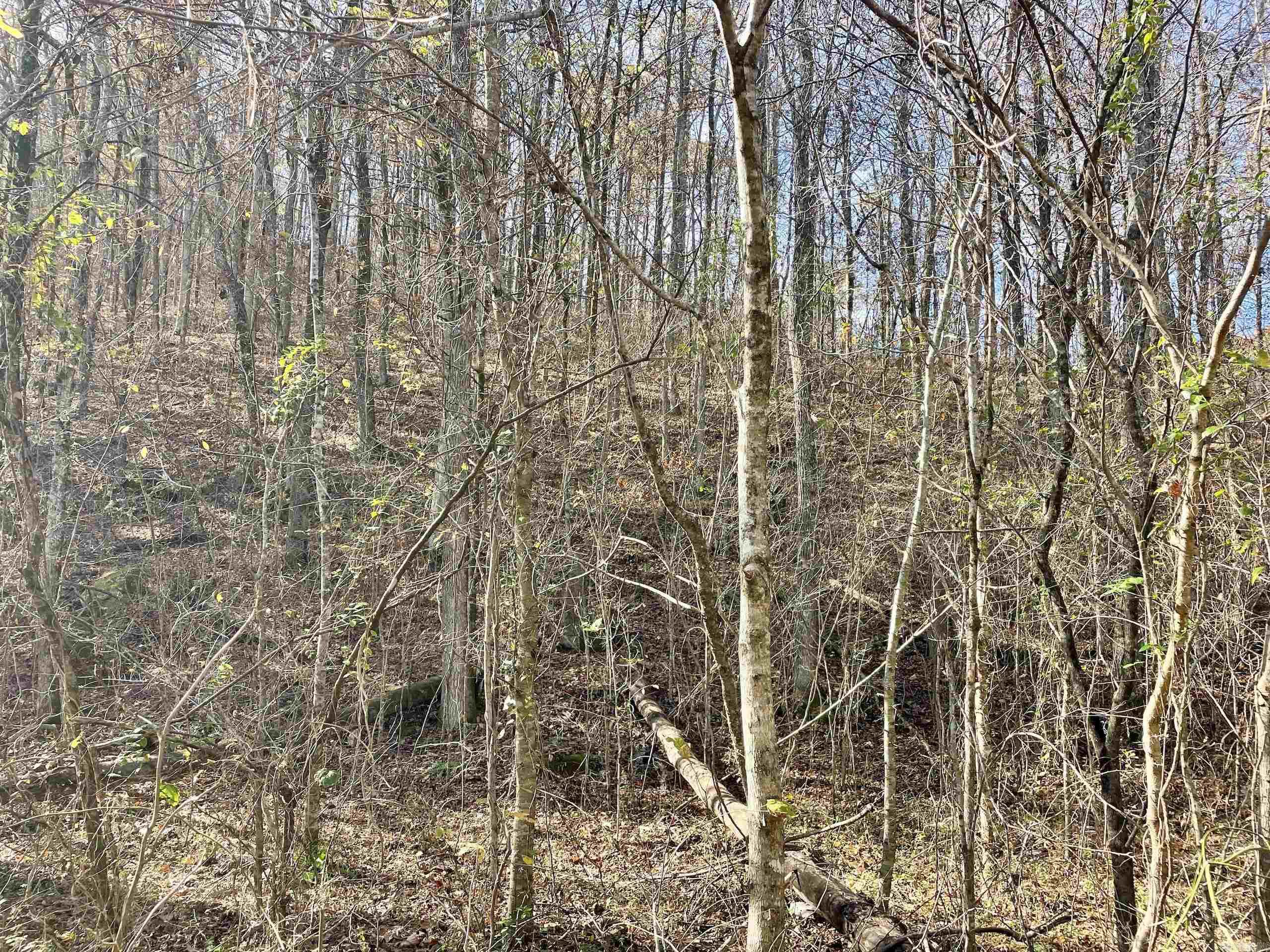 Not in Subdivision - Land