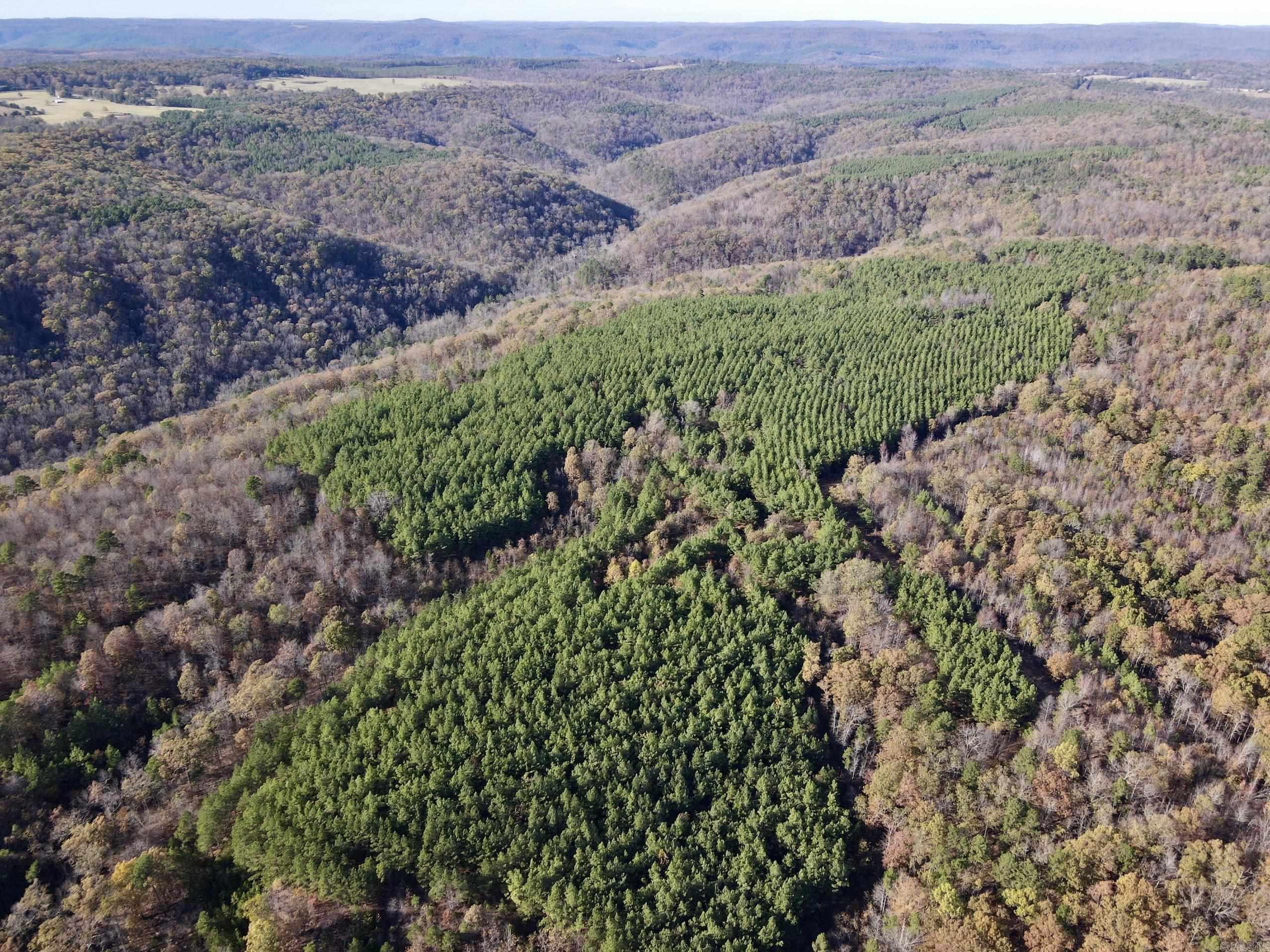 Discover an extraordinary property that blends natural beauty with a rich history, featuring a mix of native hardwood forest, approximately 14-year-old pine plantations, and young hardwood thickets that provide ideal wildlife habitat. Access this expansive land from a well-developed road and trail network that guides you through every corner of the property, including a pristine creek that meanders across its entire length.