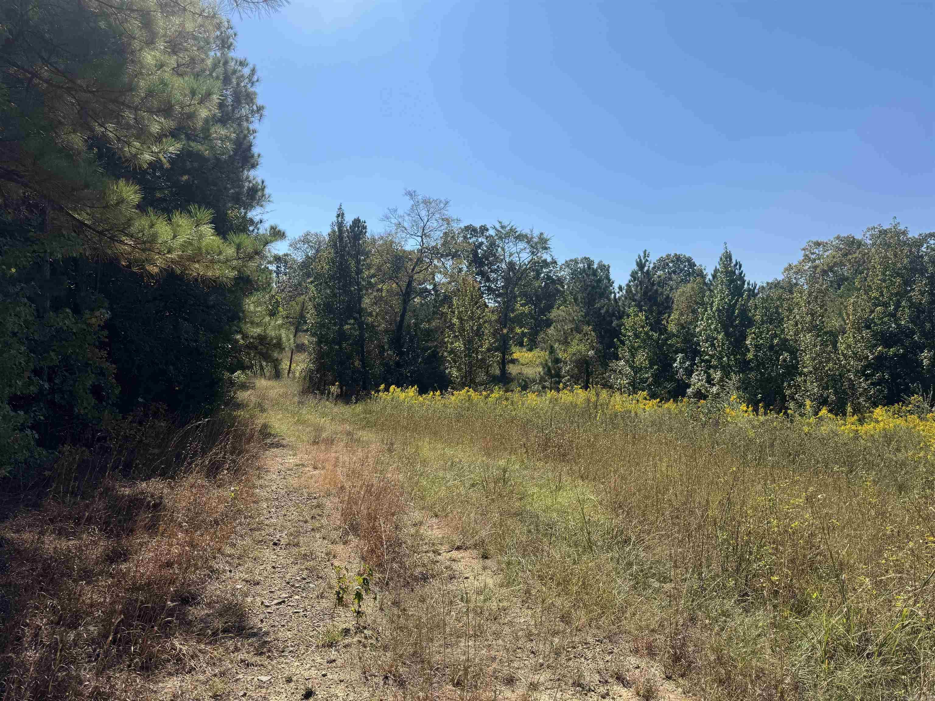 Not in Subdivision - Land