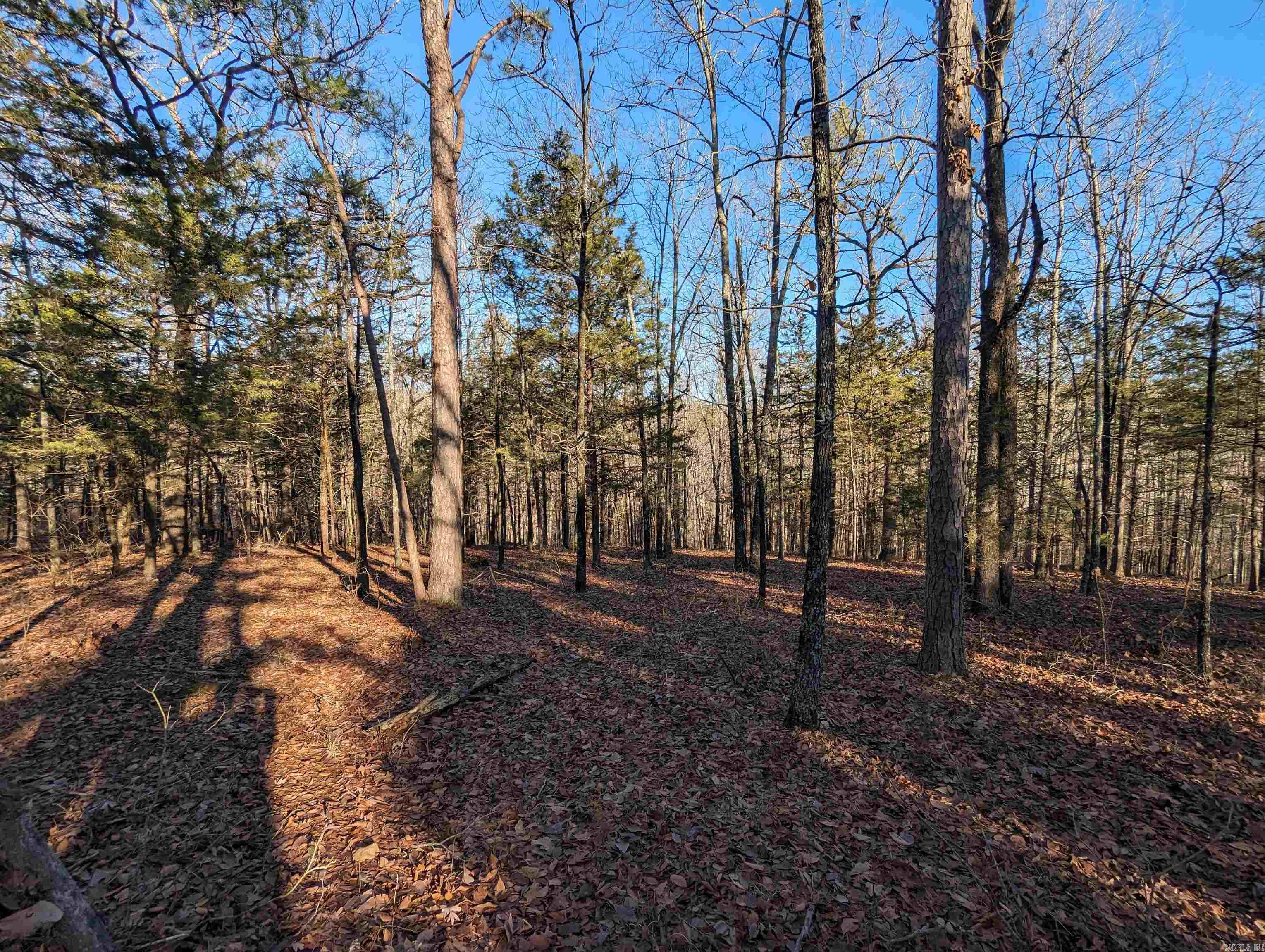 River Ridge Estates - Land