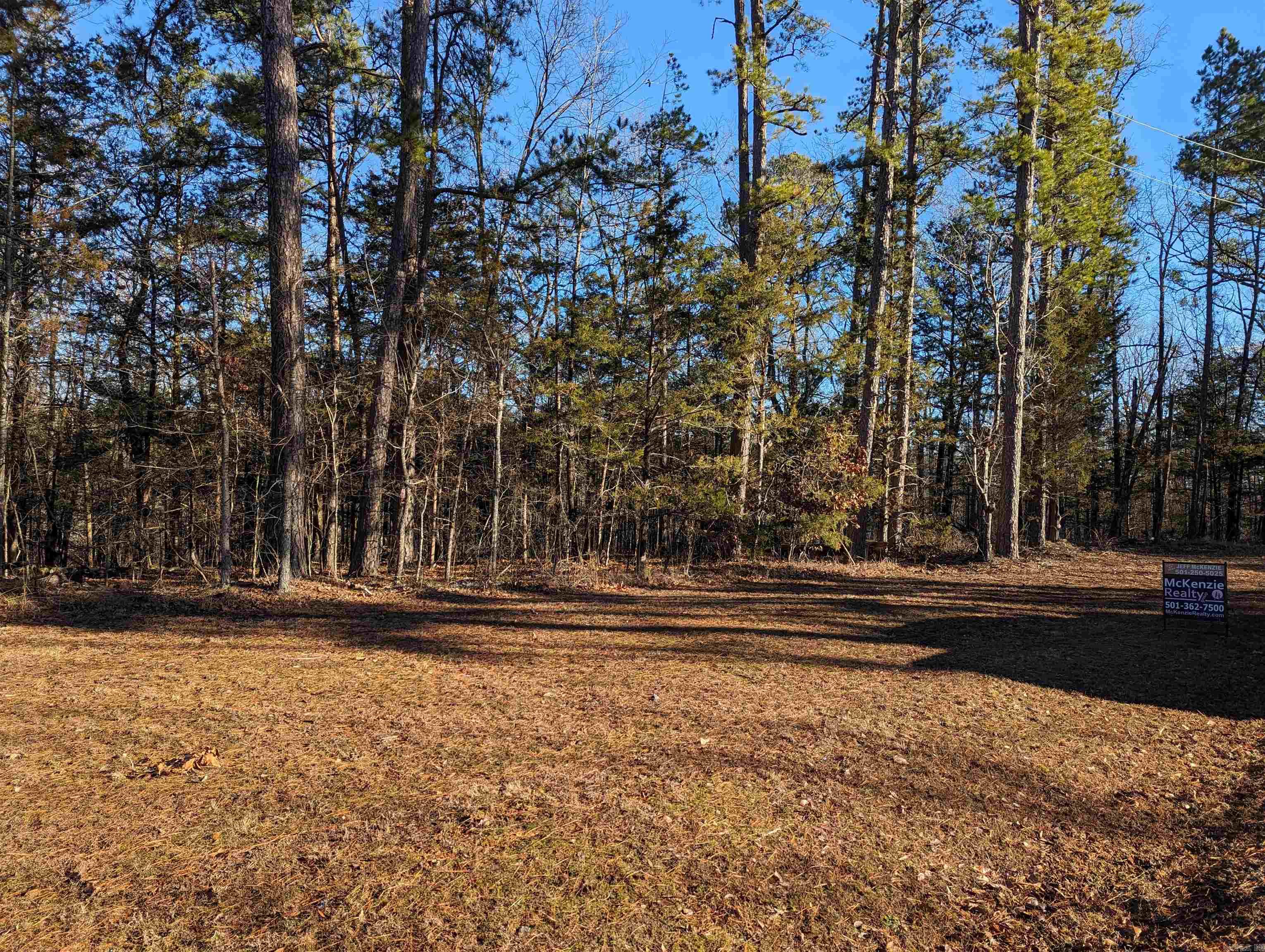 Beautiful lot in River Ridge Estates Subdivision. Nice level building site. Back yard is very private and wooded. Wonderful property!