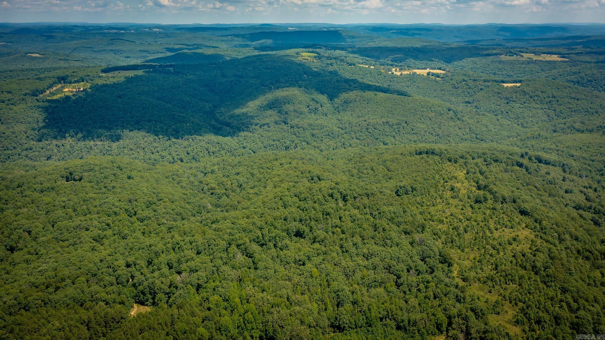 200+/- acres of mostly wooded land, offering privacy, seclusion, and abundant wildlifeāperfect for hunting or a recreational retreat. Mineral rights convey with the property, adding long-term value to this incredible outdoor escape.