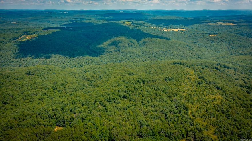 200+/- acres of mostly wooded land, offering privacy, seclusion, and abundant wildlife—perfect for hunting or a recreational retreat. Mineral rights convey with the property, adding long-term value to this incredible outdoor escape.