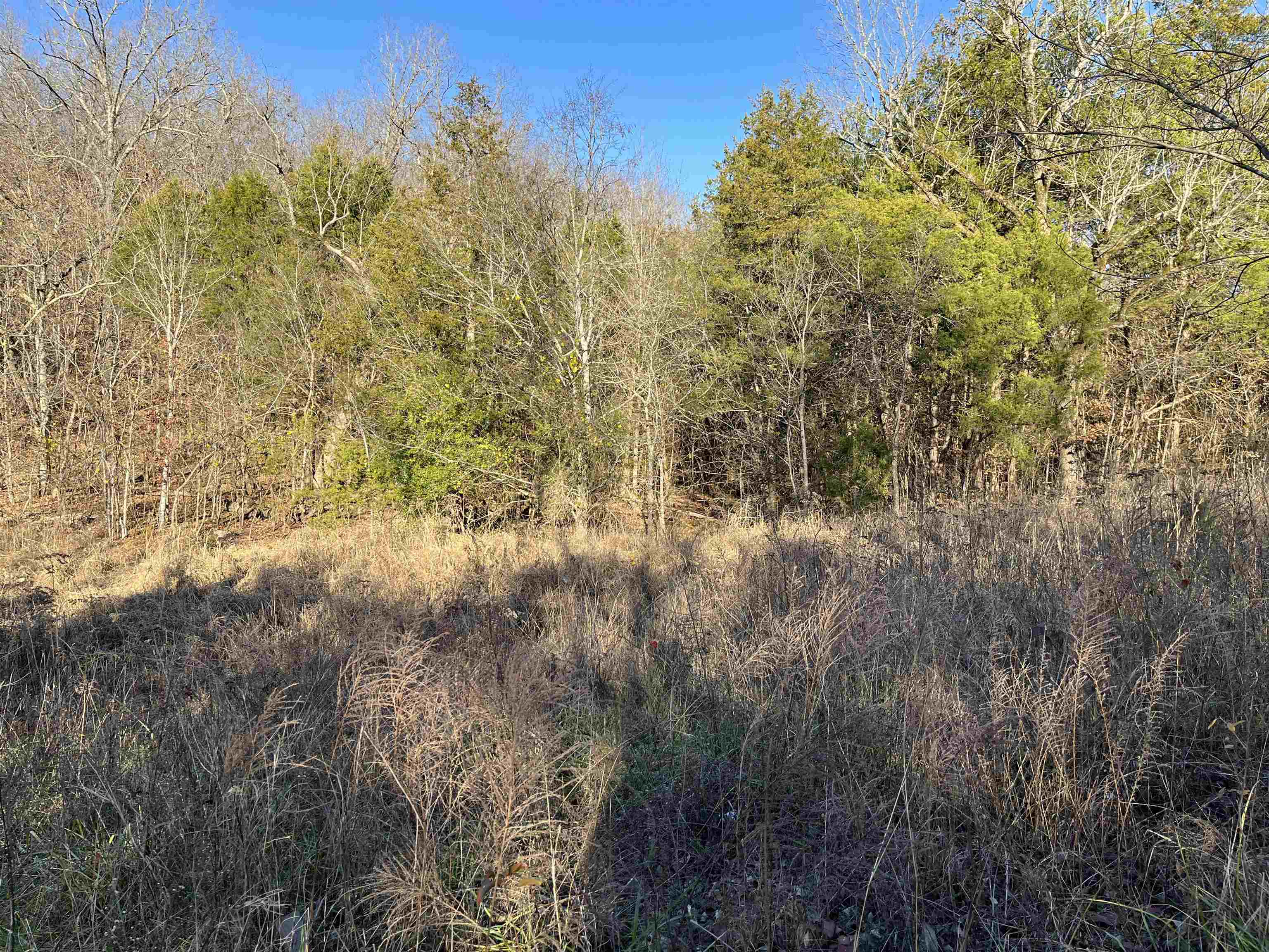 BLUFF VIEW ADDN - Land