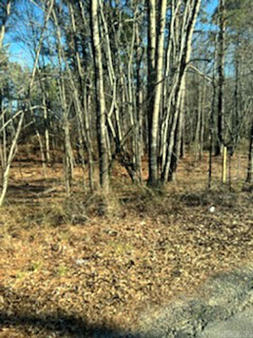Almost half an acre to build upon in the Royal Oak Terrace neighborhood in Saline County.  Country living with the city feel.  Two level lots for sale at one price!