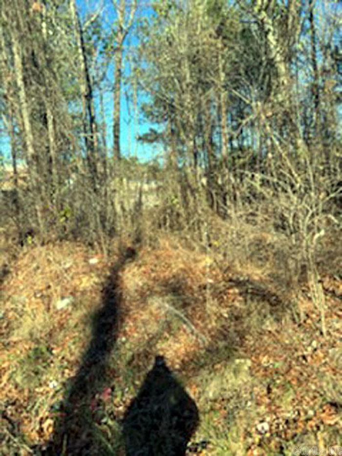 Royal Oak Terrace - Land