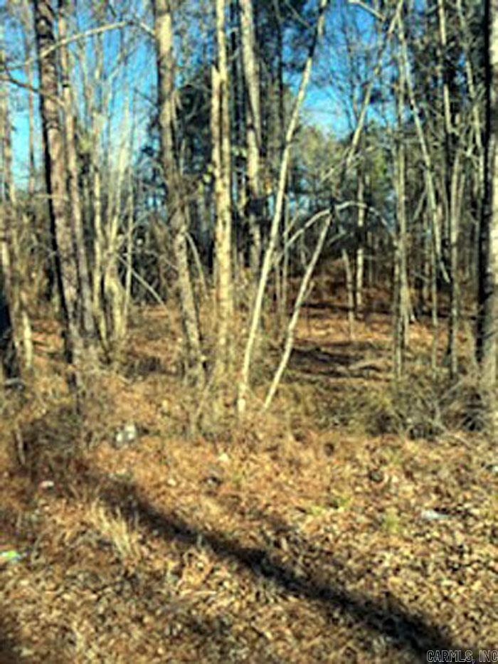 Royal Oak Terrace - Land