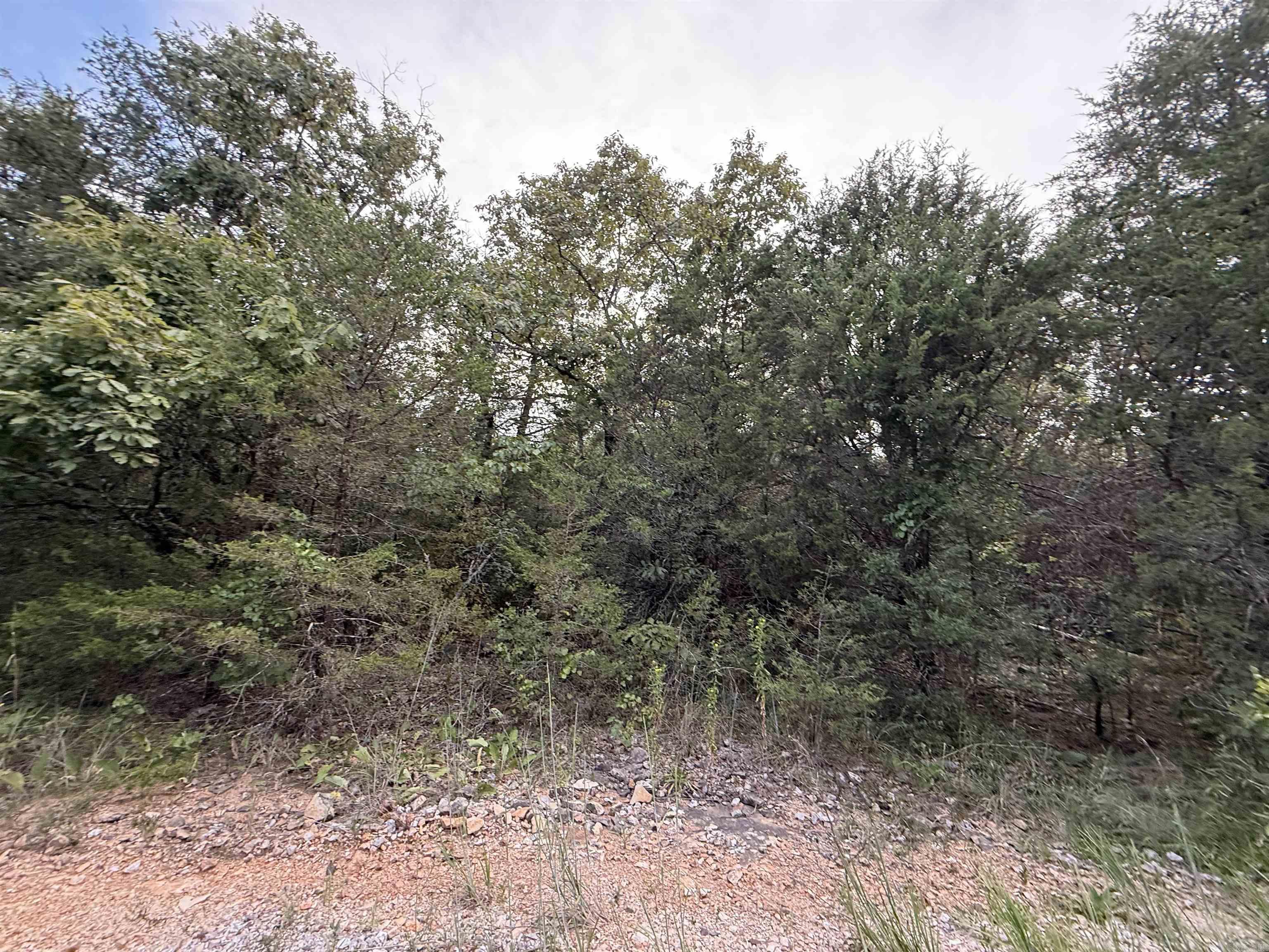 Two Prime Vacant Land Parcels in Mountain Valley Estates - Over 11.5 Acres Total! Big Buck Lane, Williford, AR 72482 | Sharp County Discover the freedom of rural living with two adjacent parcels in the peaceful Mountain Valley Estates subdivisionperfect for building your dream retreat, investing, or escaping the city hustle. Property Highlights: Parcel 1: 6.08 acres | Approx. 339' Front Width | Parcel 2: 5.6 acres | Approx. 417' Front Width | Total Land: 11.68 acres combined Topography: Wooded, private, and ready for your custom vision Zoning: (RV) Residential Vacant Utilities: Buyer to verify availability Taxes: Extremely affordable - less than $160 annually combined Special Assessment (Parcel 2): $20/year CFD Why You'll Love It: Peaceful rural setting with natural beauty Easy access to Williford and Hardy, AR Perfect for cabins, hunting retreats, or off-grid living No structures - clear the canvas and build your way Whether you're an investor looking to add to your land portfolio or a visionary seeking the perfect slice of Arkansas wilderness, this is your opportunity to secure nearly 12 acres of raw potential at an unbeatable value.