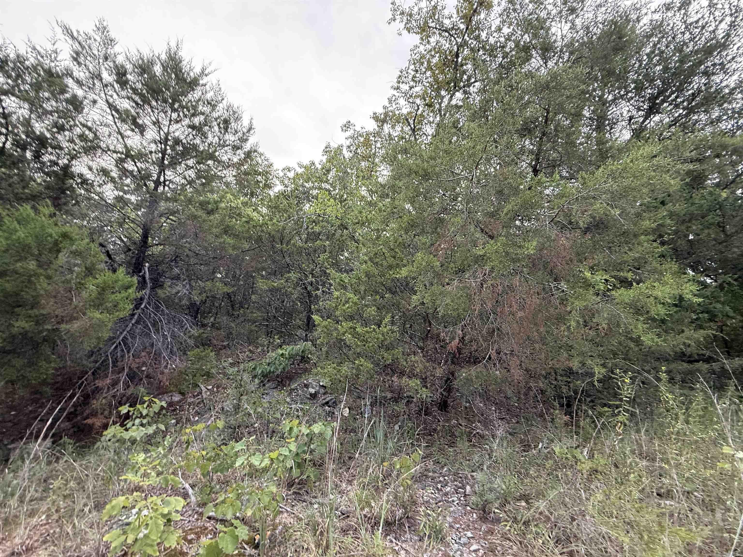 Mountain Valley Estates - Land