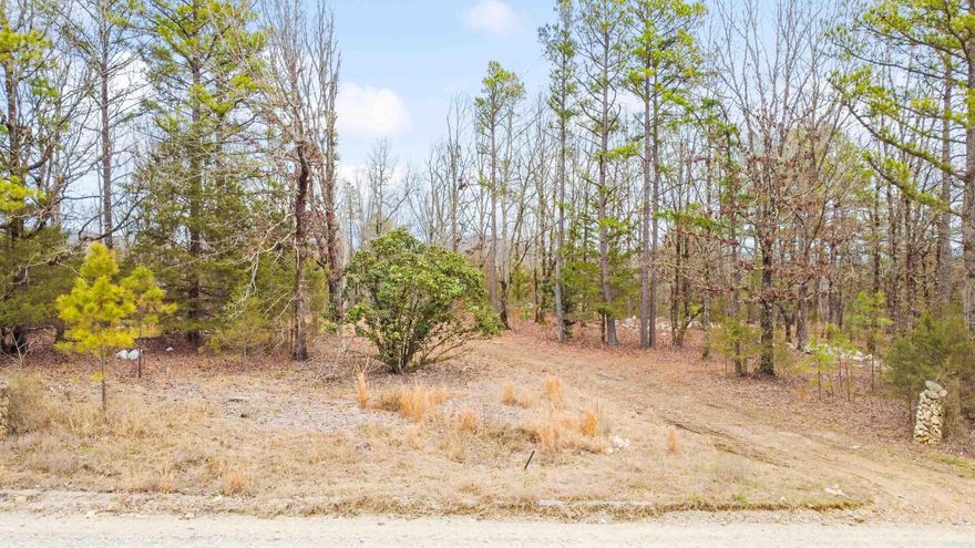 Check out this wooded acreage near Paron! The remnants of two older mobile home sites remain on the property and appears to have electric pole branched off main line already on the property. No information on fresh water or septic situation but there are neighbors next door and across the street(see pictures). The water company is at the corner of the turnoff for Hub Rd. Agents SEE NOTES.