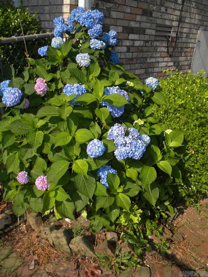 Cardinal Heights - Residential