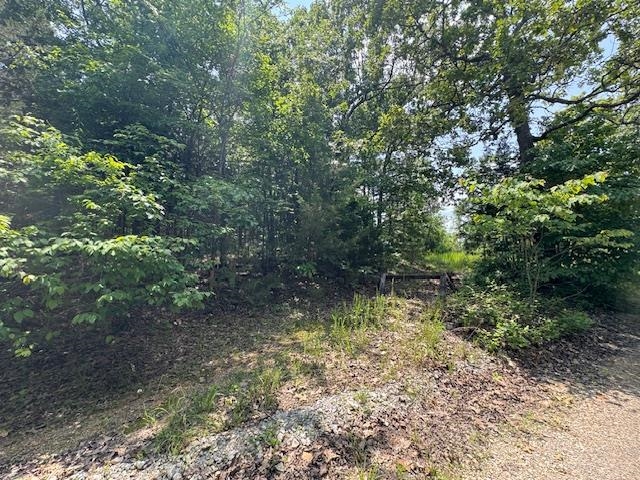 Convenient location! These two lots are ready for you to build your dream home! Located close to shopping, medical, employment and schools. City Water available to this property has a 3-bedroom septic system permit on file. The possibilities are endless with this rare find! Buyer to verify all information about property.