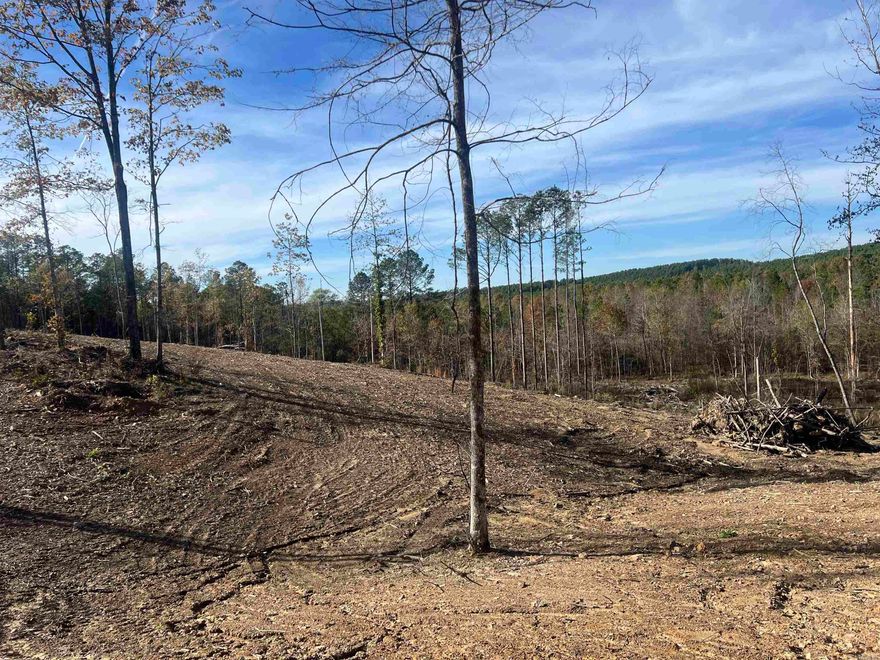 Beautiful Homesite Available!  Partially cleared, ridge top views, Hwy 84 road frontage with utilities at the road. Lenox Marcus Recreation Area on Lake Degray is only a few miles away. Deed Restriction apply. Tract A