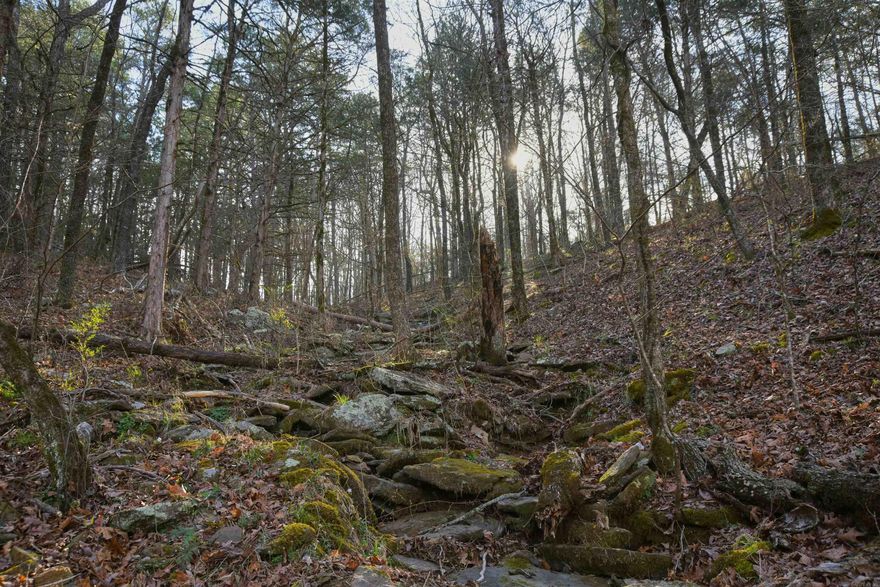 Pretty little piece of the Ozarks on a paved road. There are several very level building sites just off the road, and the building site has been cleared recently. Look for photos to be posted on Monday. Although a septic system permit was issued in 2013, a new permit would need to be issued. As you move towards the creek, the property slopes considerably, but it's a great place to go exploring. Only minutes from Fairfield Bay's mountain biking and ATV trails, marina, golf courses and restaurants. Will confirm, but I believe this property is not restricted. The creek could be a seasonal creek, but it did have water in it when I looked at it, and it hadn't rained in a while. Possible view of the mountains with a little additional clearing! There is an old 10x15 storage building on the property. Live and play close to gorgeous Greers Ferry Lake. You could be in the water in minutes!