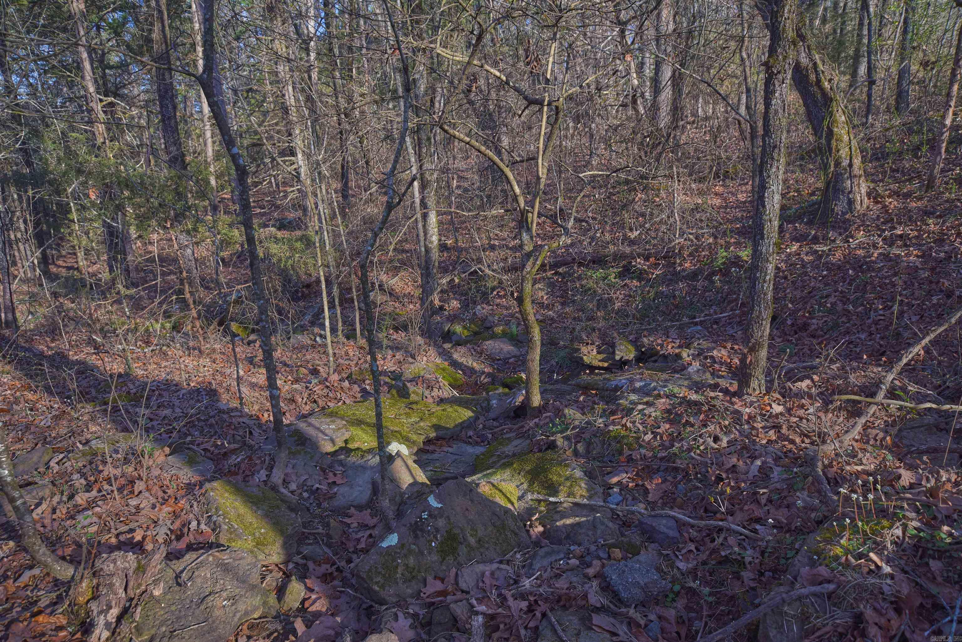 Metes & Bounds - Land