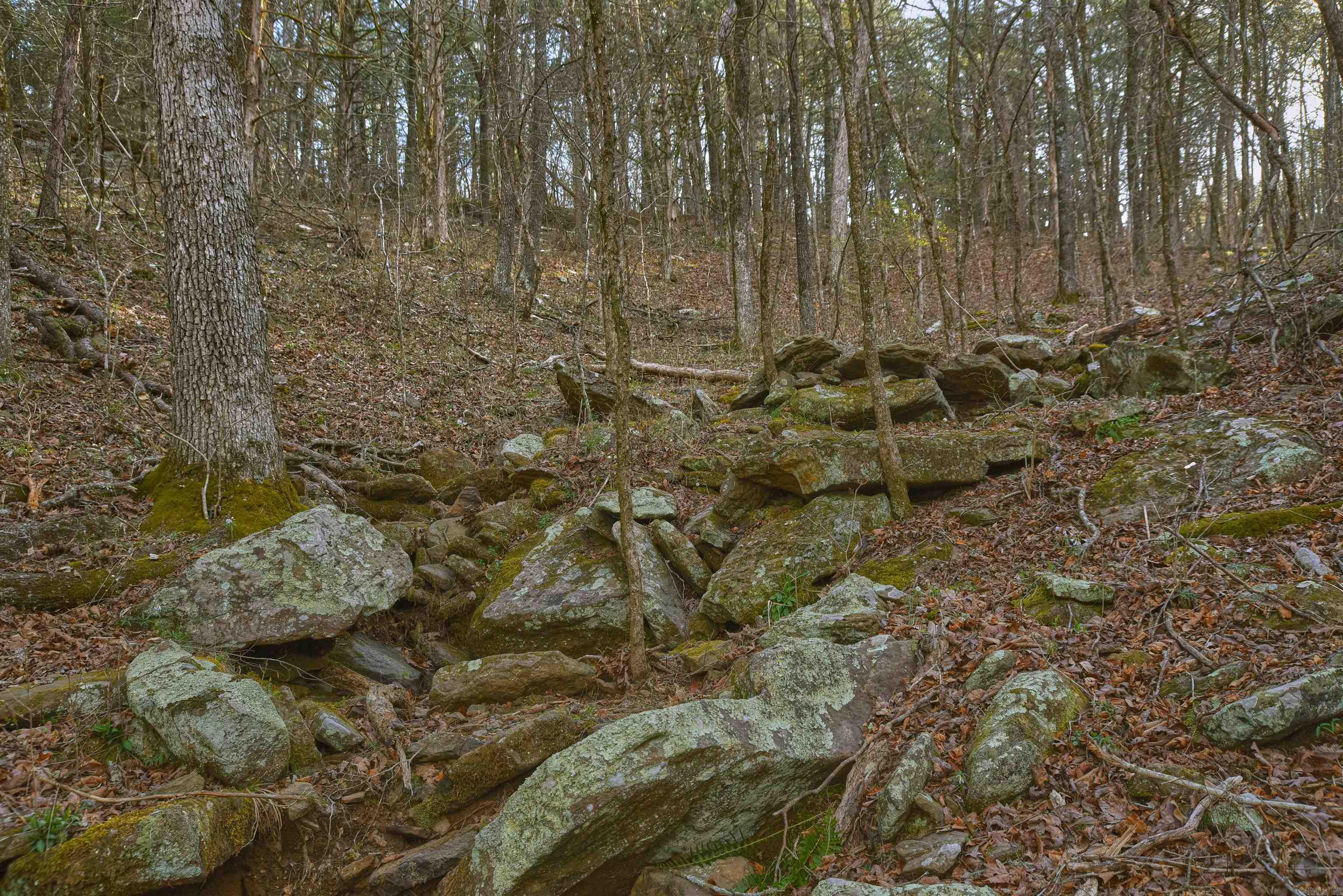 Metes & Bounds - Land