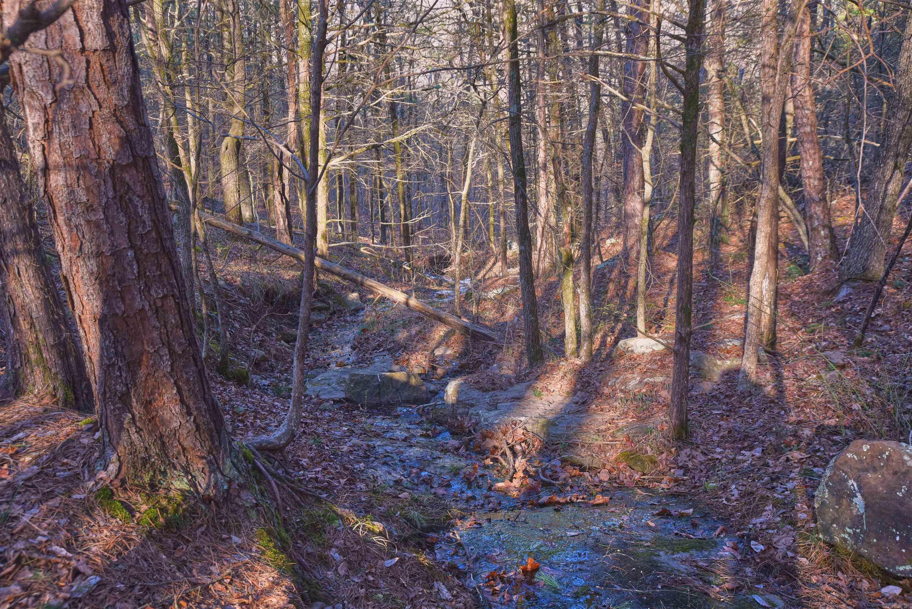 Metes & Bounds - Land