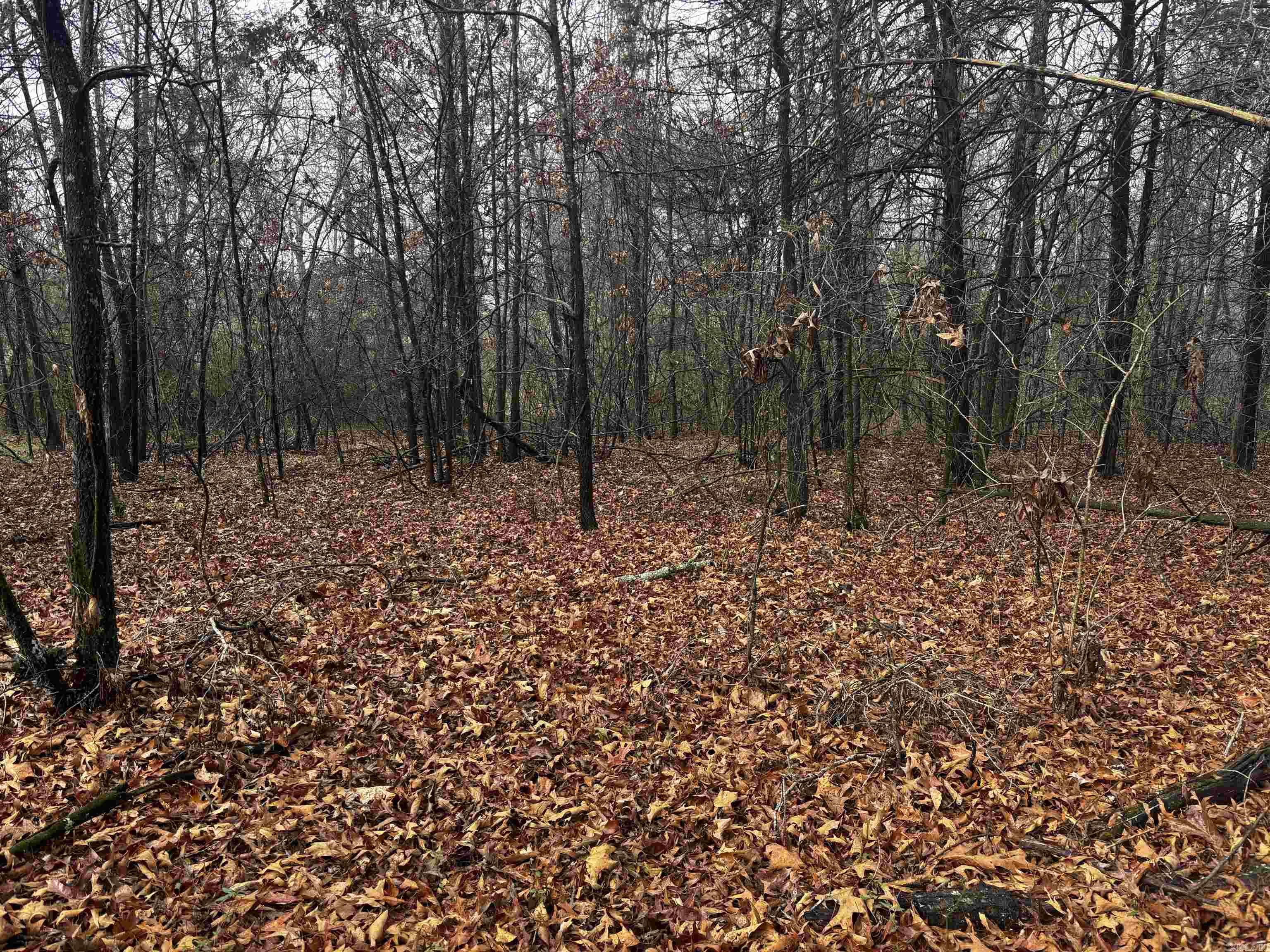 Metes & Bounds - Land