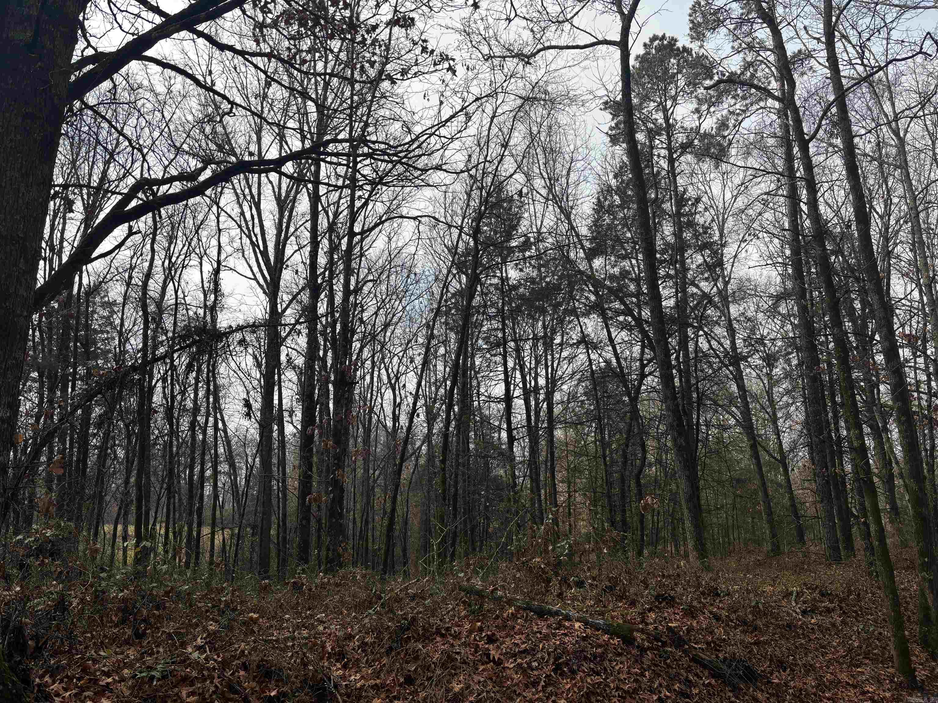 Metes & Bounds - Land