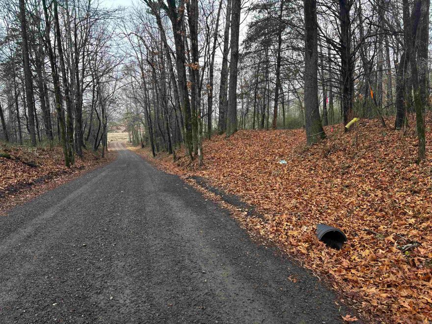 Escape to nature with this 4.89 acres of wooded land offering privacy, beauty, and endless outdoor potential. The seller notes two year-round springs, adding to the property's natural charm and appeal. Tucked away in a peaceful setting yet conveniently located near Ed Gordon Wildlife Management Arean and Petit Jean Mountain, this tract is ideal for hunting, recreation, or a secluded retreat. Enjoy picturesque scenery along the drive to the property, mature trees, and abundant wildlife-making it a great choice for hunters and nature lovers alike. Whether you're looking to build, camp, or simply invest in a peaceful slice of Arkansas countryside, this land delivers serenity, accessibility, and natural beauty in one package.