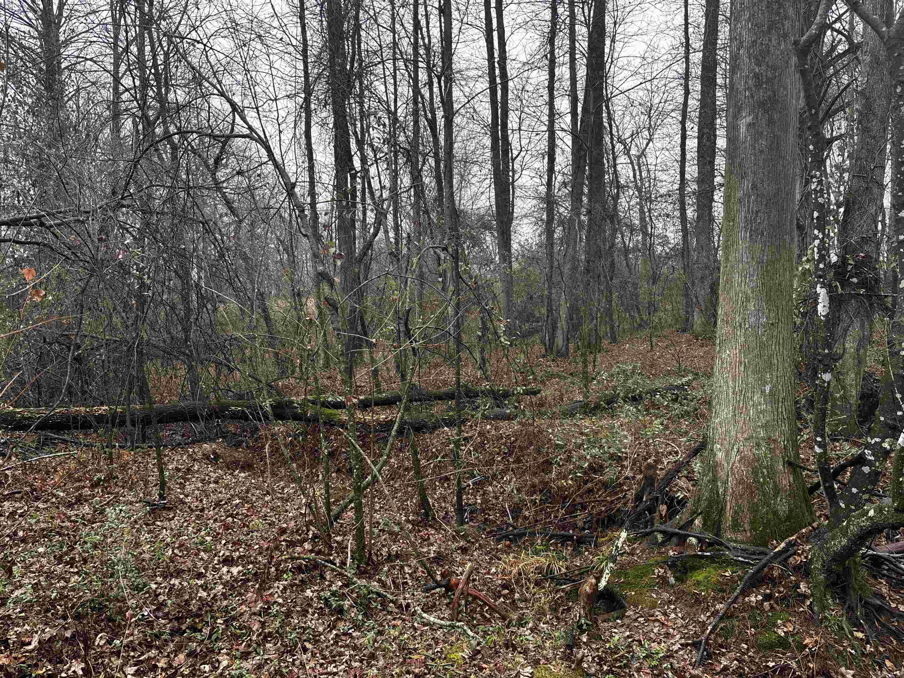 Metes & Bounds - Land