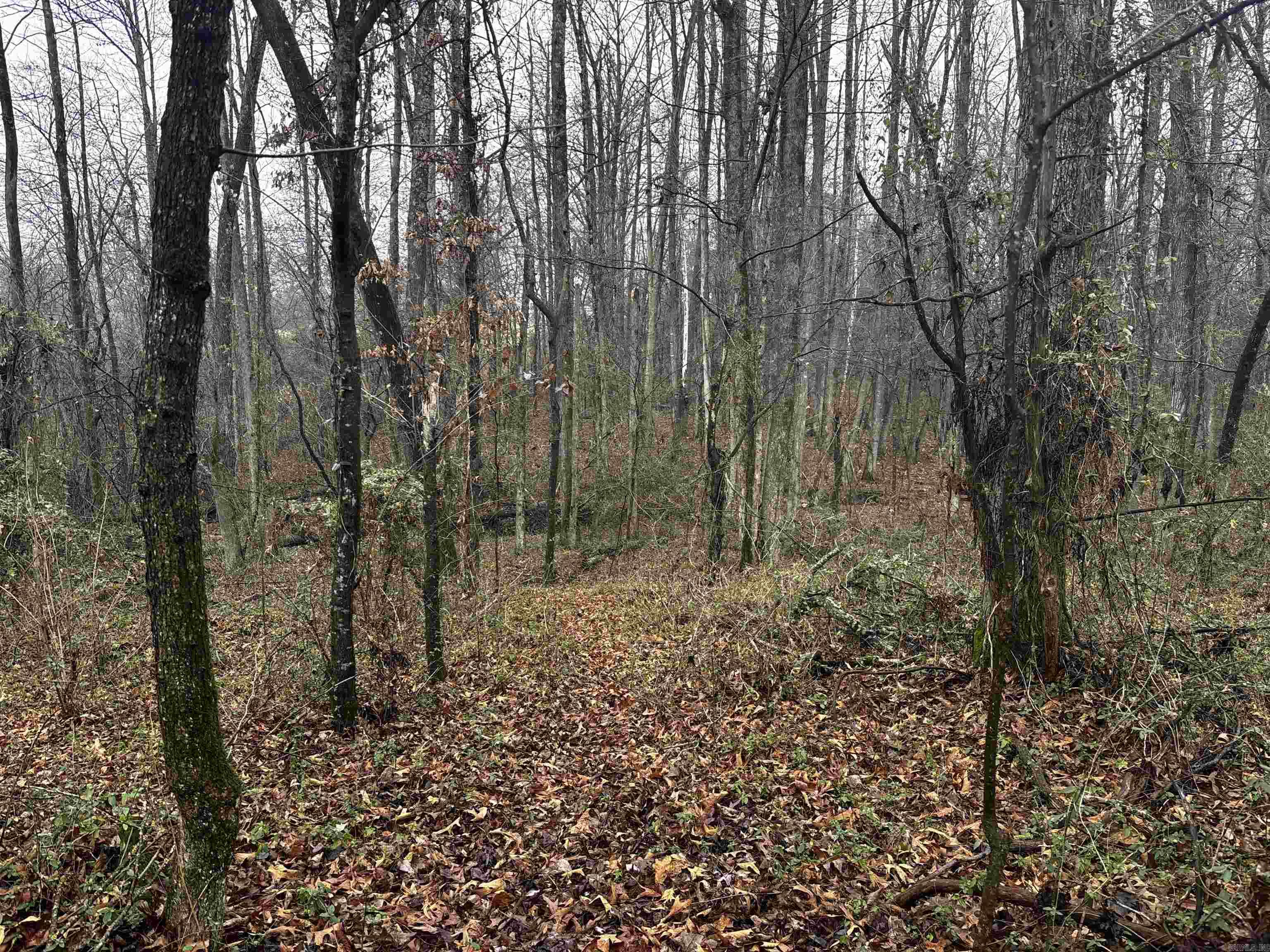 Metes & Bounds - Land