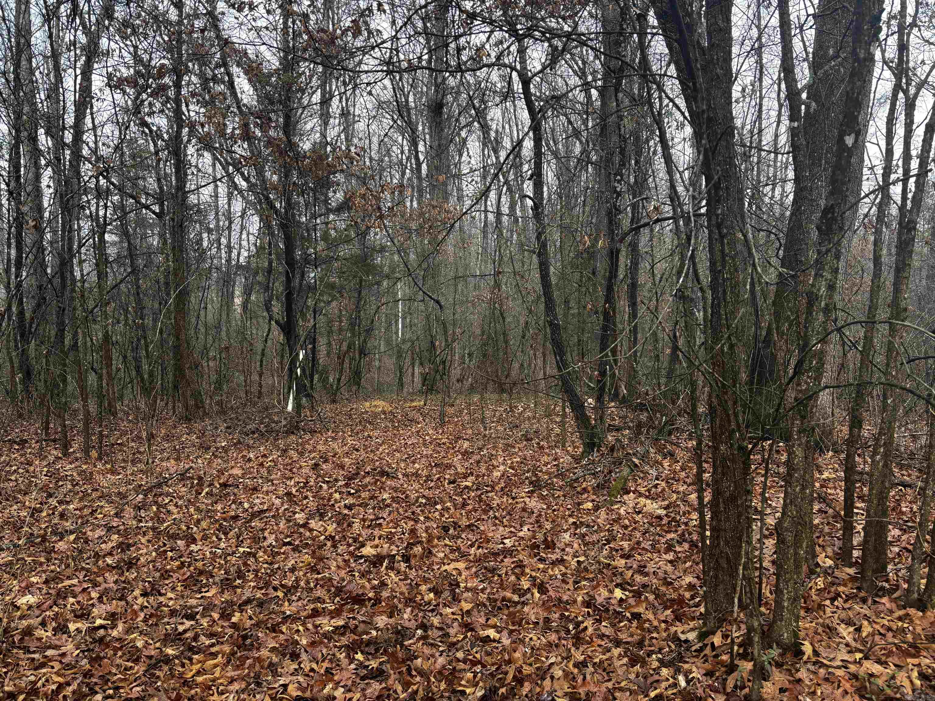 Metes & Bounds - Land