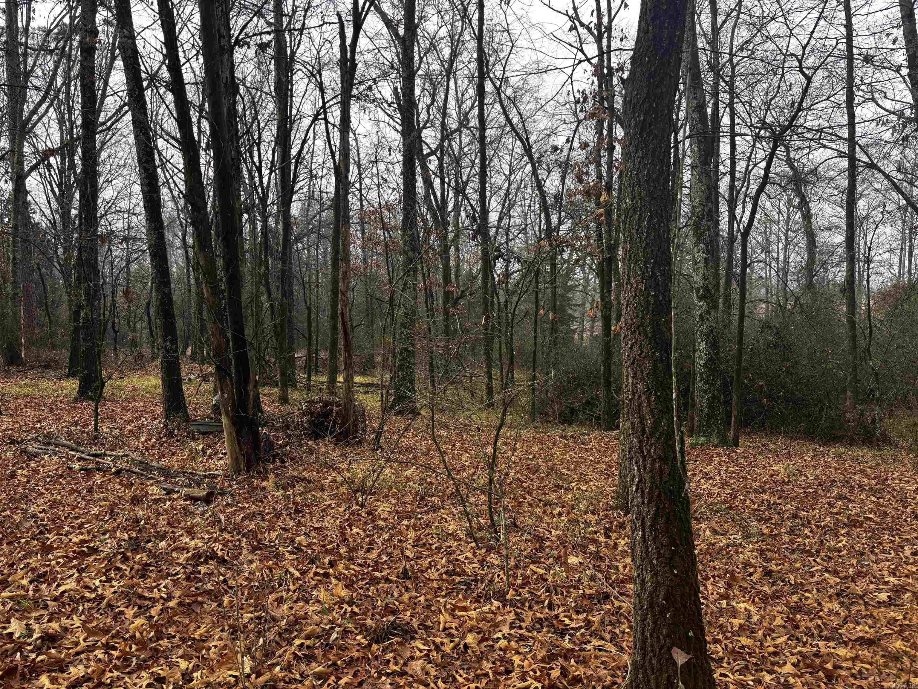 Metes & Bounds - Land