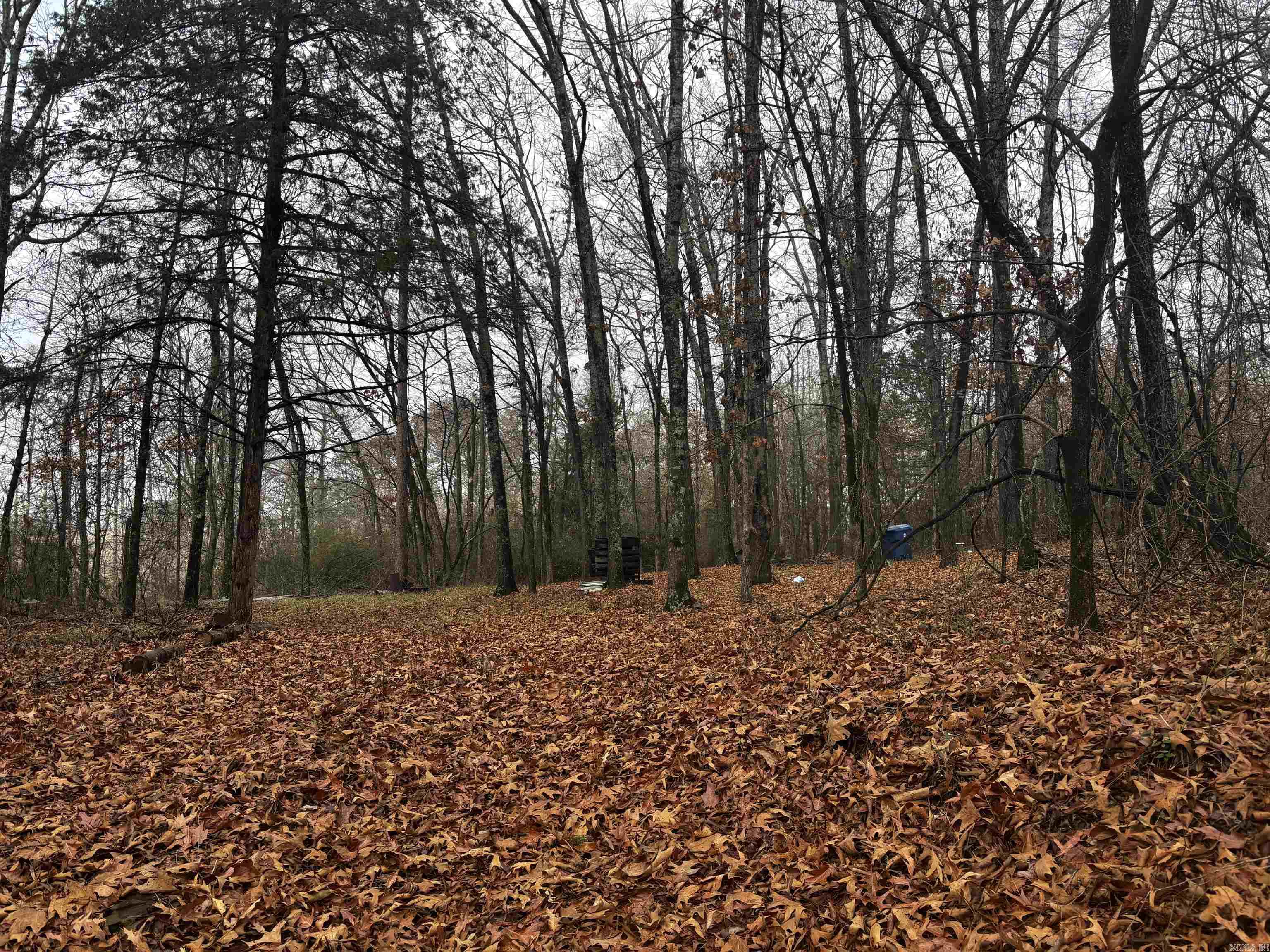 Metes & Bounds - Land