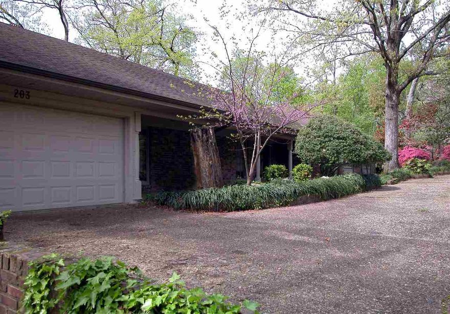Nestled among Dogwoods and azaleas, this home will transport you back to an era of easy living. Vintage updates have been made in keeping with the era of construction. Enjoy built in bookcases, wood burning fireplaces upstairs and down , formal living and dining room in addition to breakfast room, with never ending bedrooms, bathrooms and space for days! The view from the deck is breathtaking and oh so peaceful! 1 year HO warranty included. Court ordered to sell so their loss is your gain! Bring offers!