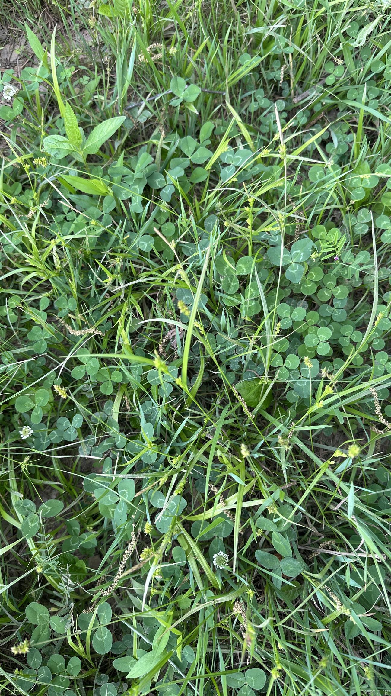 Metes & Bounds - Farm