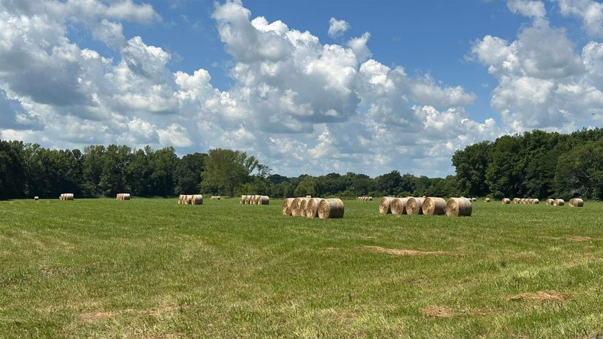 Welcome to the Holly Springs Forty, a versatile 40-acre +/- tract located off Fairview Road, less than 10 miles north of Searcy, Arkansas. This property offers a picturesque blend of open pastureland and timber, complemented by a peaceful creek and pond.  Property Highlights:  Diverse Landscape: A combination of pasture and timbered areas provides ample space for livestock, farming, or hunting. Water Features: Enjoy the natural beauty and utility of a meandering creek and a peaceful pond, ideal for fishing, watering livestock or simply relaxing by the water. Accessibility & Utilities: A private gated road ensures seclusion and security, while existing utility easements simplify the process of connecting everything you need to start building your home. Whether you’re envisioning a custom-built dream home, a sustainable homestead, or a weekend retreat, this property caters to a variety of things. Additional acreage available for purchase!  Situated just minutes from Searcy, you’ll have easy access to local amenities, schools, and healthcare facilities, all while feeling buffered from the busyness of the city.