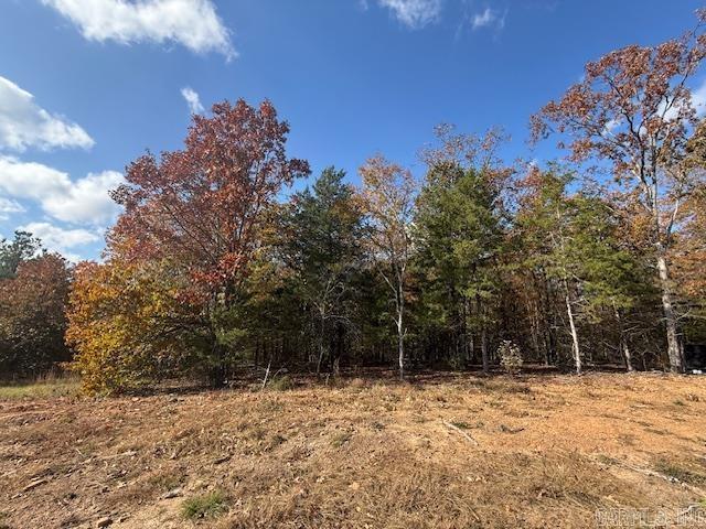 SUMMERLYN SUBDIVISION - Land