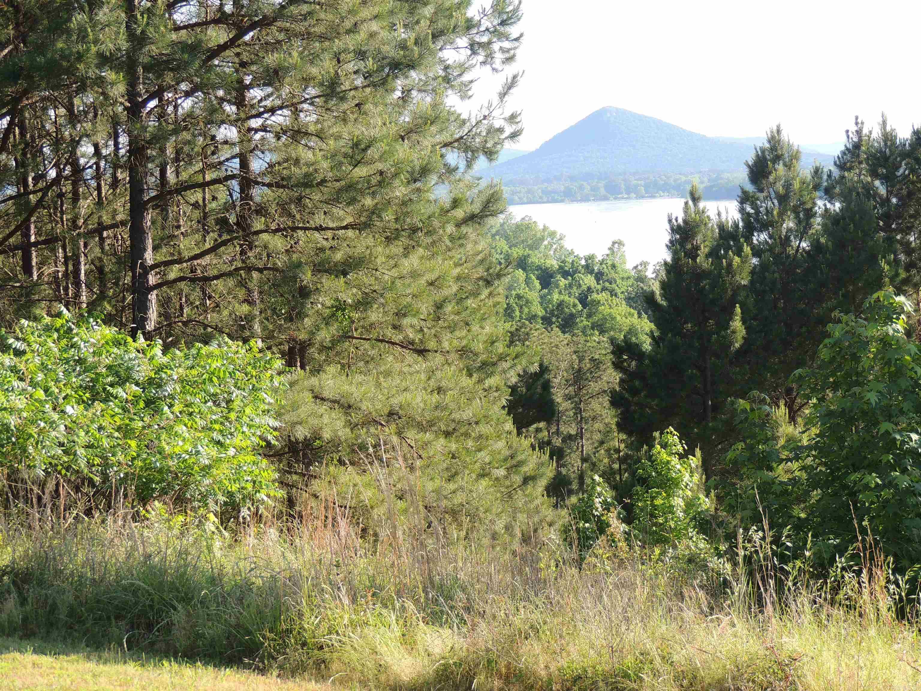 MOUNTAIN CREST ESTATES - Land