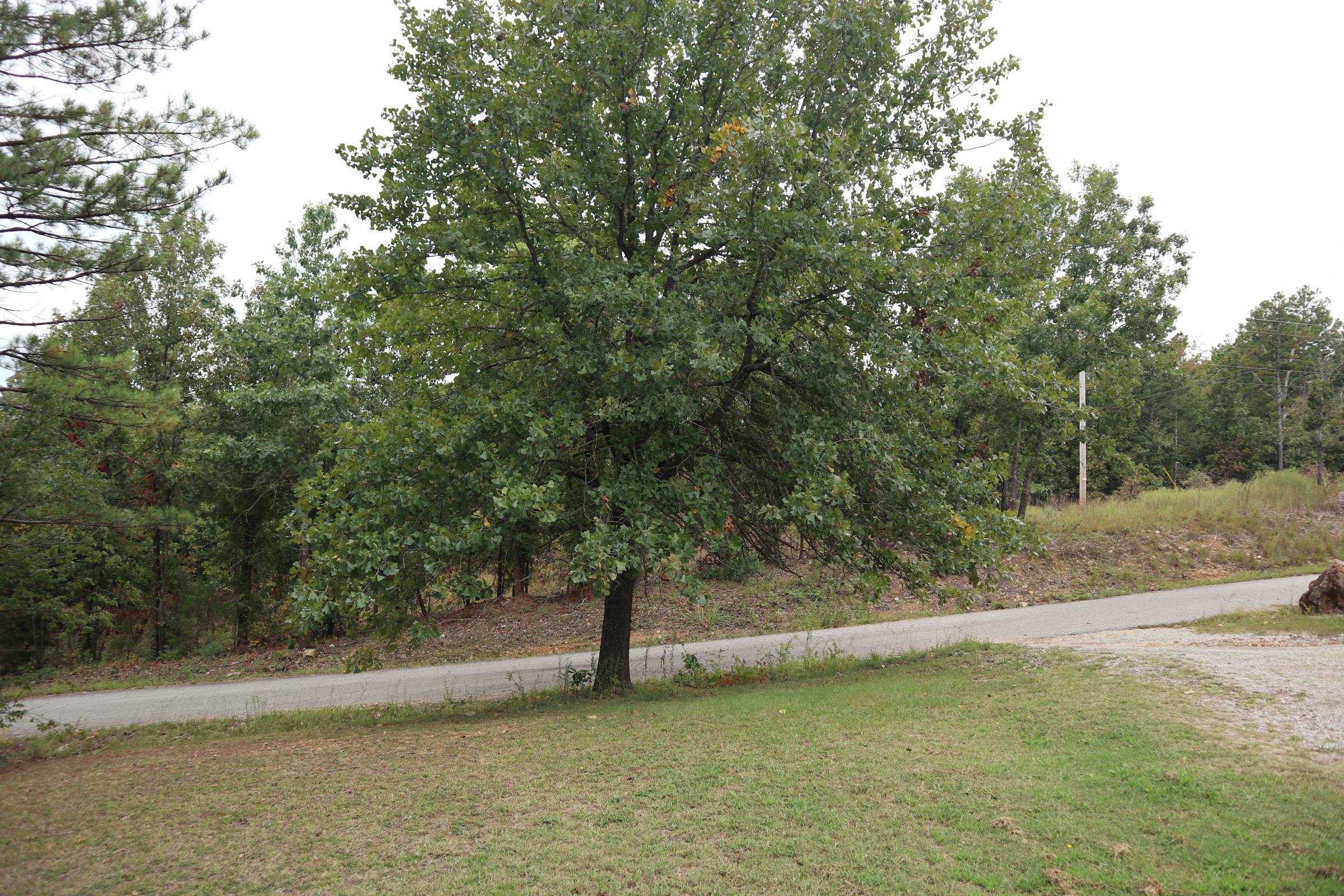 Twin Oaks - Residential