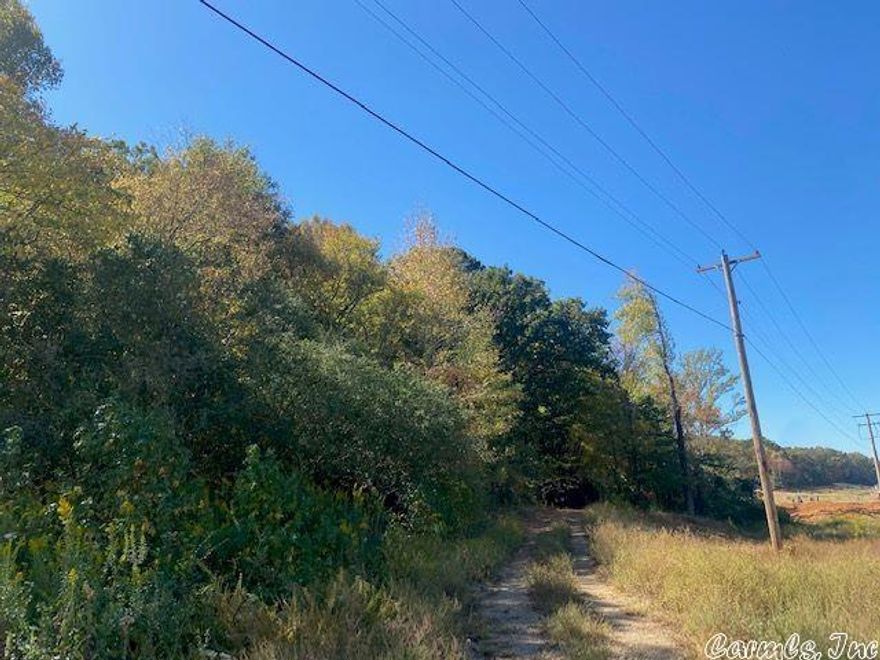 9.43 Acres of vacant land located in Conway City Limits
