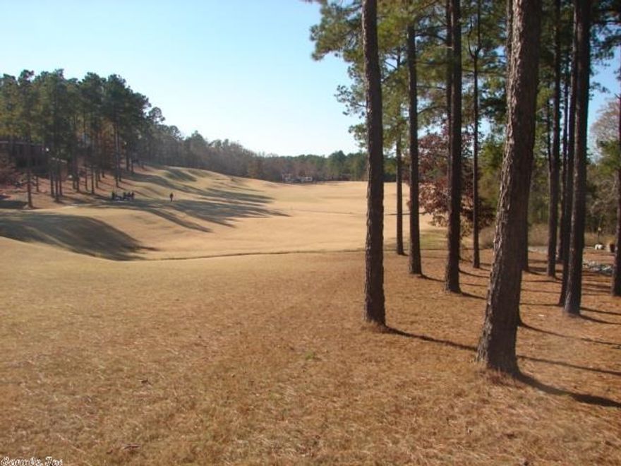 ISABELLA GOLF COURSE FOR $9,900...TEE BOX #6 HOLE PAR 4...THIS PROPERTY HAS A NICE VIEW OF THE TEE BOX AND FAIRWAY...EAST END...NEW HOMES LINE THE STREET...LAKE BALBOA IS CLOSE...4 OTHER GOLF COURSES NEARBY...THIS PROPERTY MAY ACCOMMODATE A WALK OUT BASEMENT...CALL RIGHT AWAY...