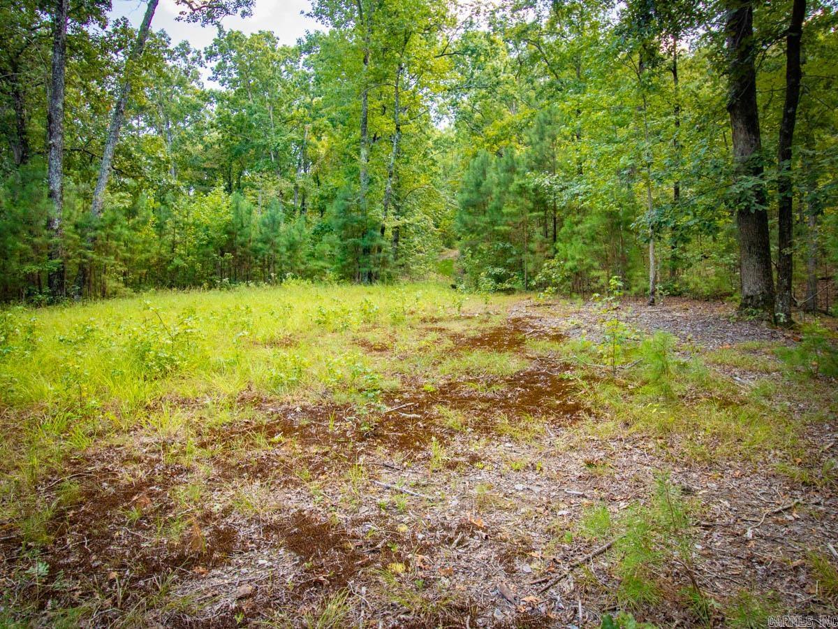 Waldenwood Estates - Land