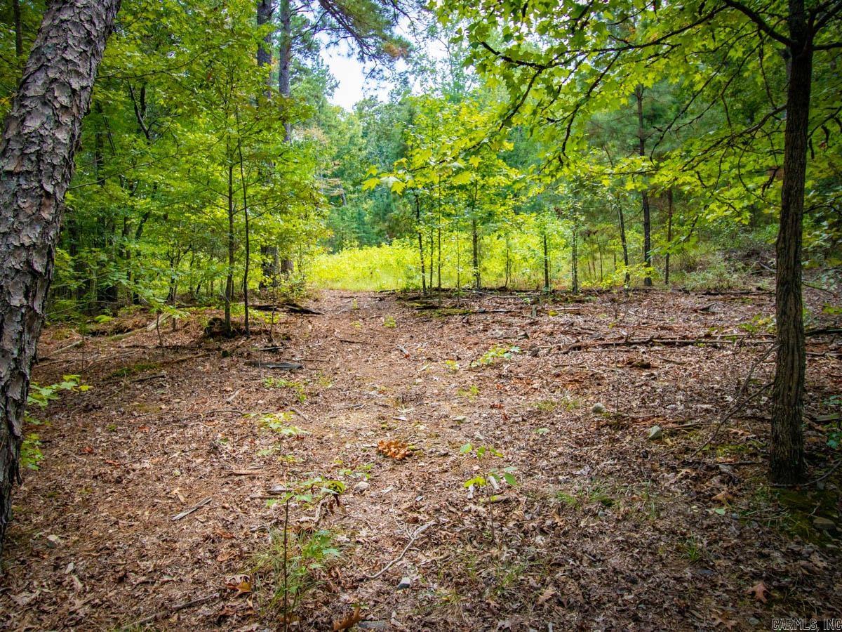 Waldenwood Estates - Land