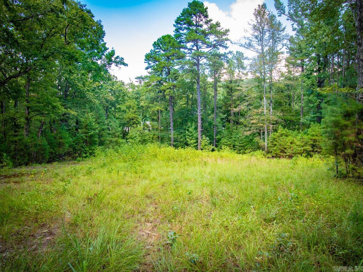 Waldenwood Estates - Land