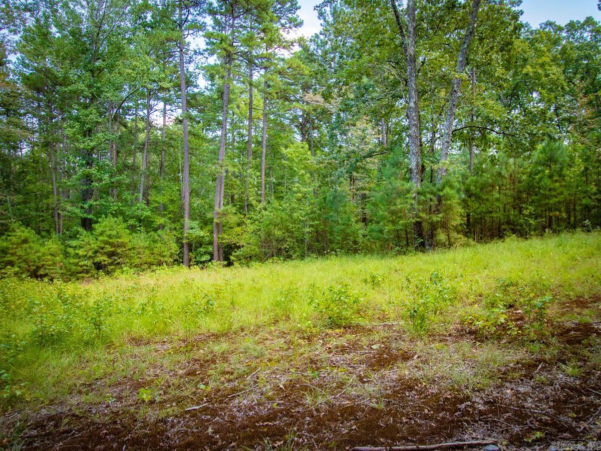 Waldenwood Estates - Land