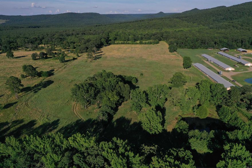 Located south of New Blaine along Spring Lake Road, this picturesque 40-acre tract is sure to have features for everyone! As you pull in the driveway, you’ll notice the road winding up to the top of a small tree covered knoll, a perfect place for a home or cabin. This homesite already has electricity, and a drilled well. The rear of the property adjoins the Ozark National Forest for 3/8 of a mile, giving direct access to hundreds of thousands of acres of public land. Whether you are looking for a homesite, or an addition to your farm, this property checks both boxes. The land is fenced along its northern and southern boundaries, and has two ponds perfect for watering livestock and fishing. The flat pasture land is currently used for hay production, and is level and easily manageable. Along with being a great homesite or farm, this acreage has great hunting potential. Hardwood timber intertwined with small secluded fields and trails in the back of the property make a perfect habitat for the deer and turkeys that are frequently seen there.