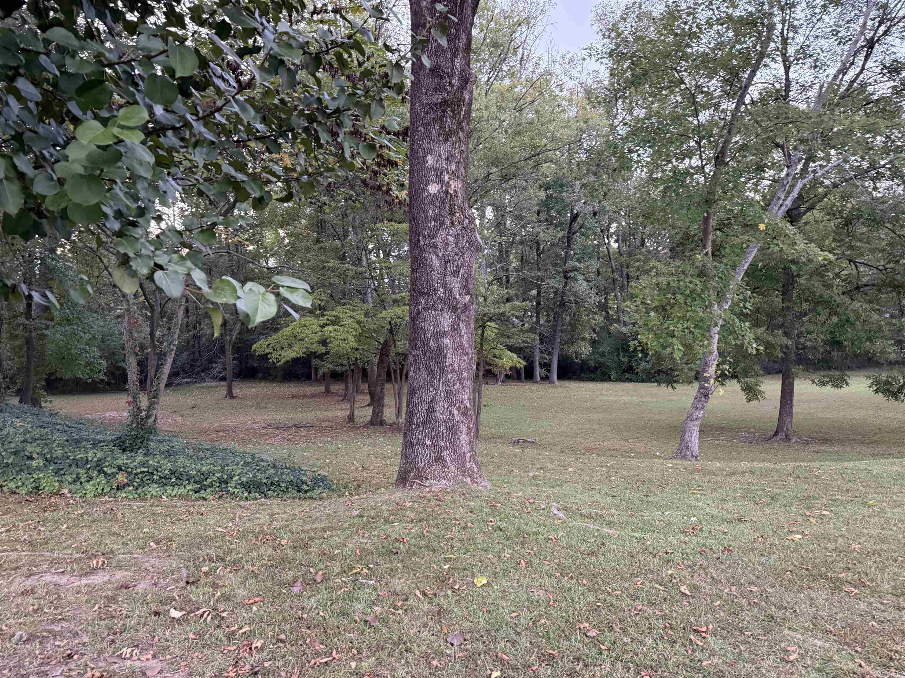 RAYS ADDITION - Residential